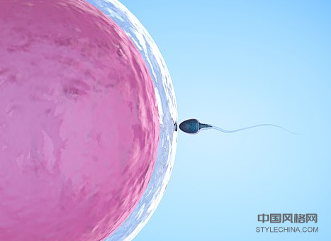 经常性流产可能是男性的错：科学家将他们与贫血精子联系起来，导致由肥胖和先前的性传播疾病引起的DNA损伤 中国风格网,stylechina.com