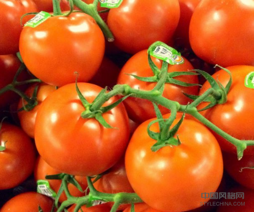 科学家说他们可以通过基因工程设计辣番茄 中国风格网,stylechina.com