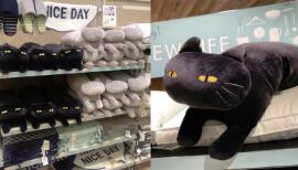 全台秒杀的宜得利「黑猫抱枕」回来了！软绵绵Q弹触感、73公分长，根本午睡必备，这次不能再错过 ,stylechina.com