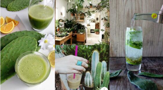 地表最强减肥冰沙！古法瘦身独门配方竟然出动这种植物？而且清凉消暑又疗愈超适合夏天！ ,stylechina.com