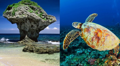 夏天美人鱼最爱的潜水、SUP、浮潜！盘点世界各地旅行景点玩水攻略 ,stylechina.com