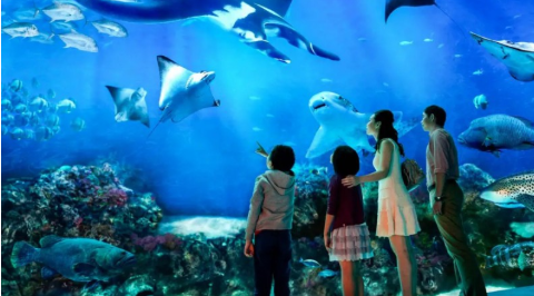 夏天美人鱼最爱的潜水、SUP、浮潜！盘点世界各地旅行景点玩水攻略 ,stylechina.com