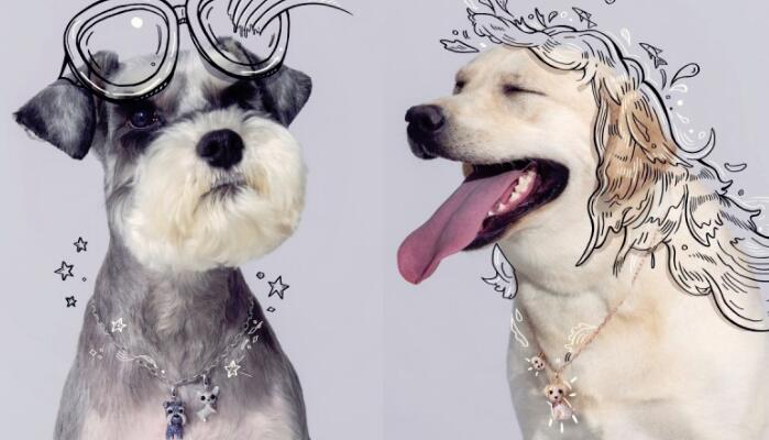 Qeelin萌犬珠宝系列「Wang Wang」再一发！每天出门在外都有爱犬的暖心陪伴！ ,stylechina.com