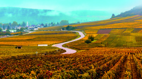 没去过里昂，别说你去过法国！它没有罗浮宫、香奈儿名流，但见过世面。 ,stylechina.com