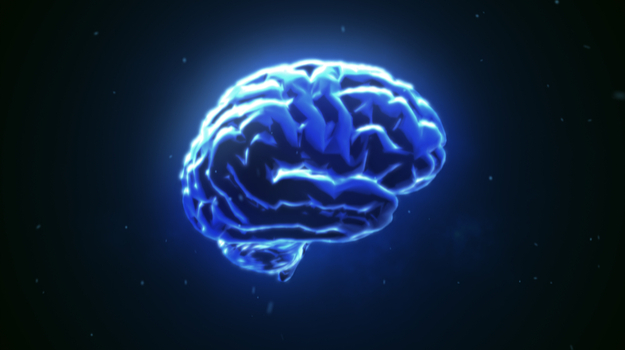 对脑的新的表观遗传学见解可能导致神经疾病的新方法 ,stylechina.com