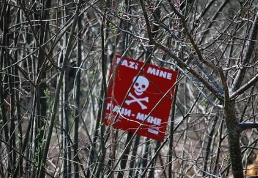 振动传感器检测移动探测器的埋藏物体 ,stylechina.com