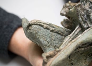 新西兰发现的世界上最古老的鸟类之一 ,stylechina.com