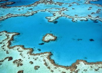 研究人员对珊瑚及其相关生物的DNA进行测序 ,stylechina.com