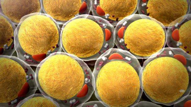 医药公司的Inclisiran有效治疗胆固醇，无肝或肾副作用 ,stylechina.com