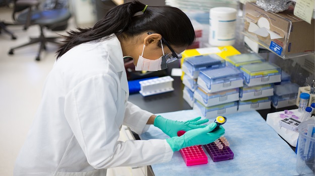 研究性药物与检查点抑制剂联合在某些癌症中显示出希望 ,stylechina.com