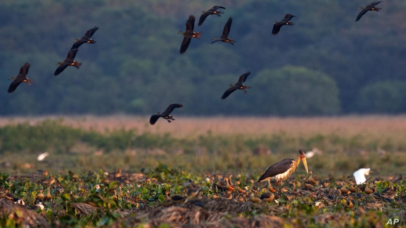 联合国：水资源管理可以减轻气候变化的影响 ,stylechina.com