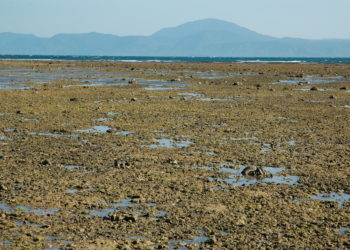 上个世纪，我们极大地改变了大堡礁 ,stylechina.com