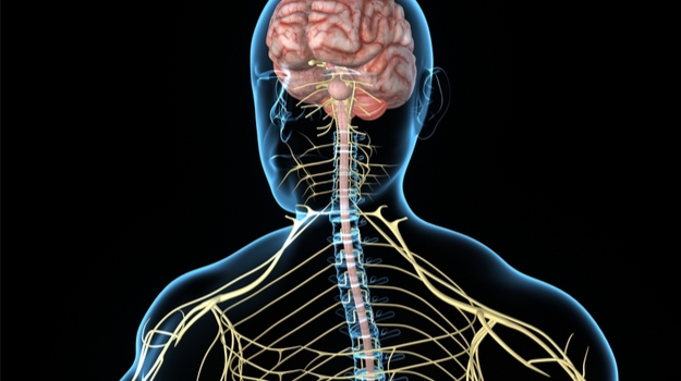使用细胞类型特异性分析改善神经药物的开发方法 ,stylechina.com