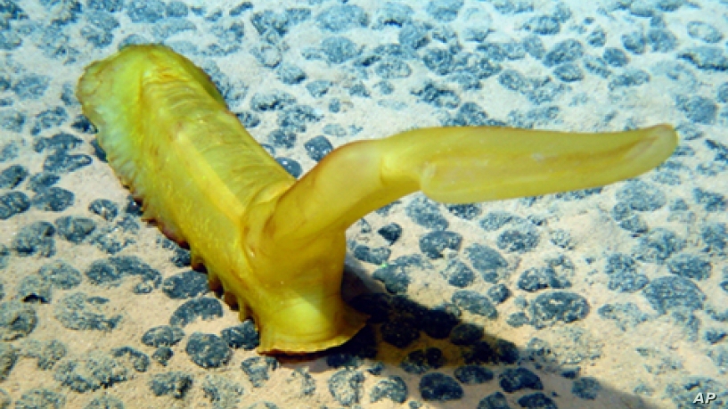 QQ截图20191015144637.jpg 越南和澳大利亚将共同开展科研项目 ,stylechina.com