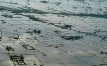 QQ截图20191015144637.jpg 专家强调与自然合作拯救亚洲的“消失的三角洲” ,stylechina.com