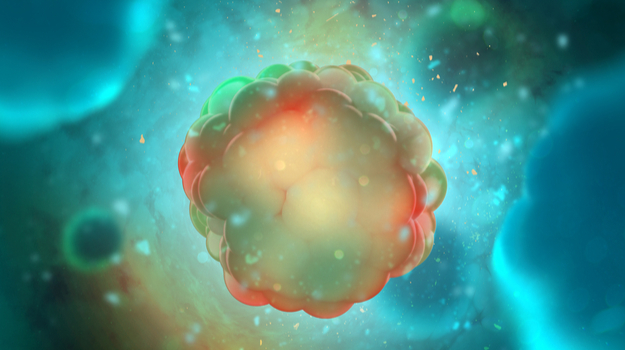 Verseau Therapeutics斥资5000万美元启动重新编程免疫细胞治疗癌症的计划 ,stylechina.com