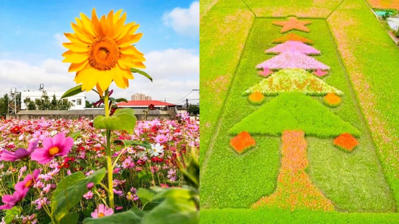 5DC1B573E922B1572975987.jpeg 「2019桃园花彩节」浪漫来袭!三大展区日期&地点公开,圣诞树、茶壶花海必拍到手软 ,stylechina.com