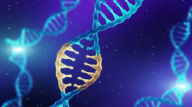 Prime如何解决CRISPR的大问题 ,stylechina.com