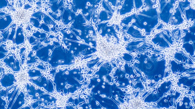 研究人员确定了侵袭性脑癌胶质母细胞瘤的10种新药物靶标 ,stylechina.com