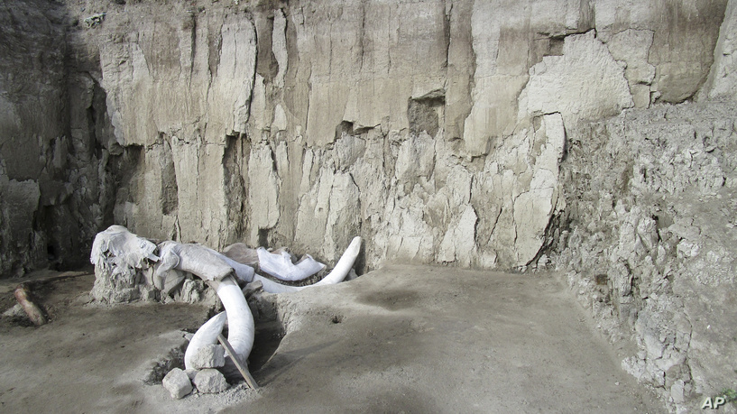 在墨西哥发现史前人类猛Ma象陷阱  ,stylechina.com