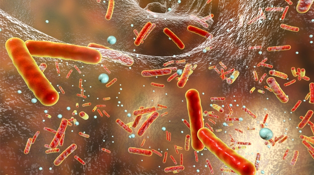 世界AMR大会：抗微生物耐药性 ,stylechina.com