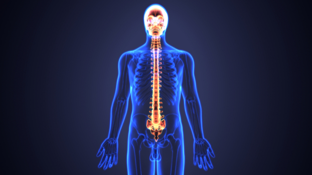 在获得积极的试验结果后，Genentech有望批准SMA药物 ,stylechina.com