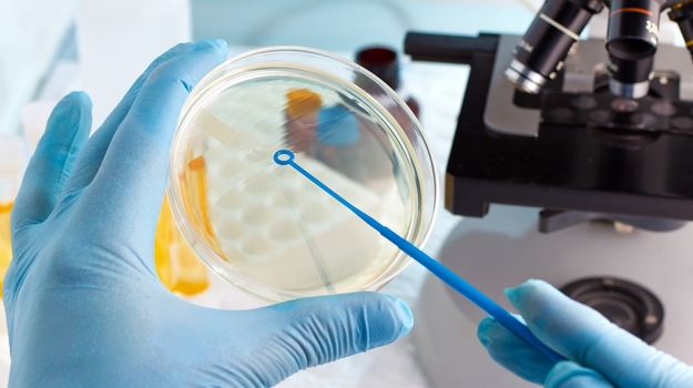 在实验室中培养器官：离现实更近一步 ,stylechina.com