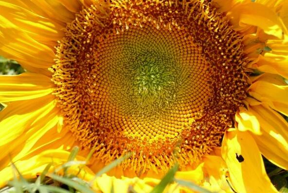 保持气候宜人的理由（ish） ,stylechina.com