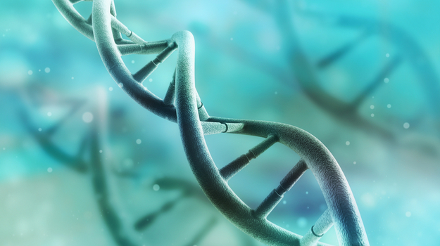 收入排名前10位的基因测序公司 ,stylechina.com