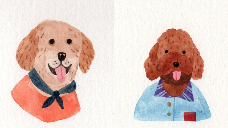 《美丽佳人》十二月星座运势：「这个月吉多凶少，各星座多能心想事成！」 ,stylechina.com