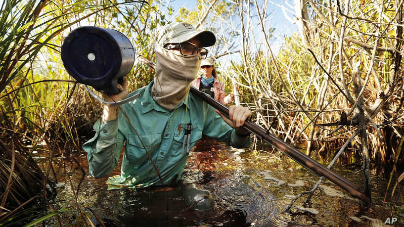 为了拯救大沼泽地，监护人与时间和气候作斗争 ,stylechina.com