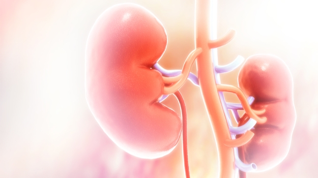 Alnylam的Lumasiran看到超罕见肾脏疾病的阳性结果 ,stylechina.com