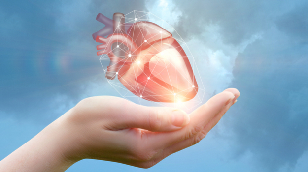 Novoheart和哈佛大学合作开发“心在胆”技术以促进心脏药物开发 ,stylechina.com