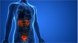 Astellas和Seattle Genetics获得膀胱癌药物的加速批准 ,stylechina.com