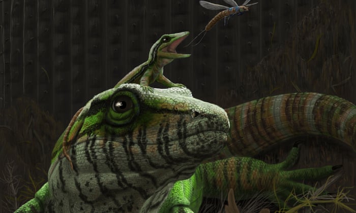 类似蜥蜴的3.09亿年前化石是育儿的最古老证据 ,stylechina.com