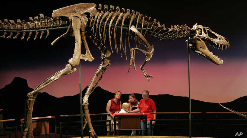 研究表明矮人霸王龙恐龙可能不存在 ,stylechina.com