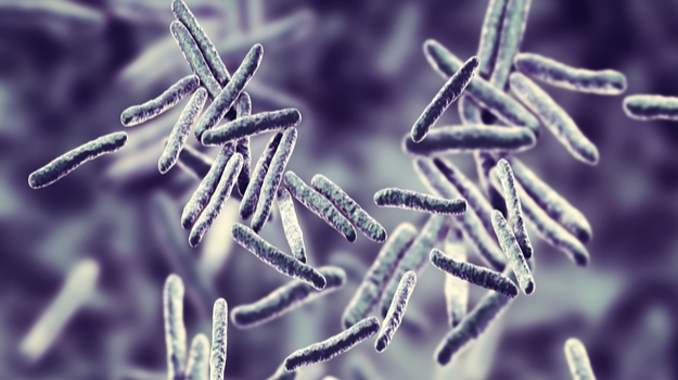 新研究表明静脉注射结核病疫苗可能更有效 ,stylechina.com