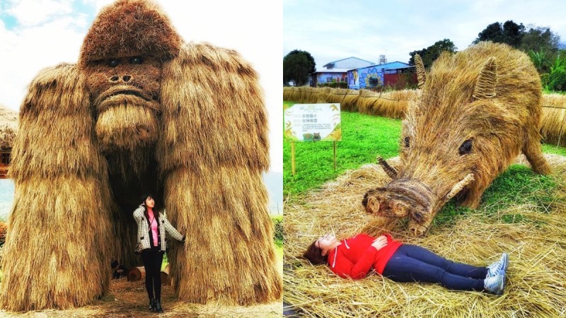2层楼高大猩猩霸气现身花莲！第一届「稻草艺术季」打造17只大型动物，山猪、松鼠超好拍 ,stylechina.com