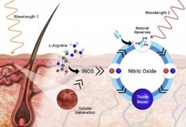 REVIAN®Inc.宣布发布具有里程碑意义的专利，该专利涵盖了使用光刺激身体自我修复的方法 ,stylechina.com