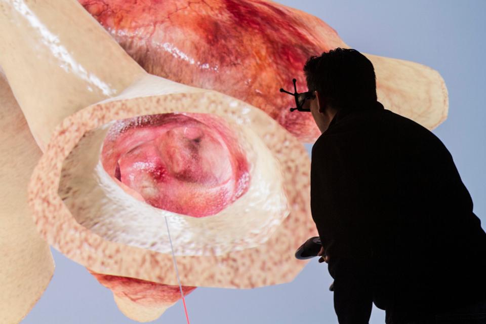 临床试验的未来？这是心脏的仿真模型 ,stylechina.com