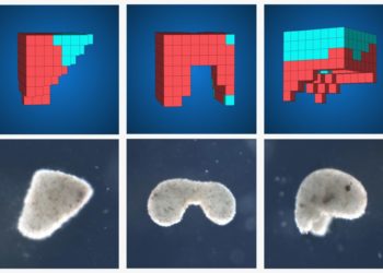 新型可变形金属颗粒将抗药细菌切成碎片 ,stylechina.com