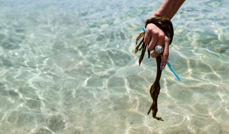 Loliware基于海带的塑料替代品从环保投资者那里获得了600万美元的种子轮投资 ,stylechina.com