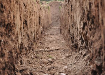 新型土壤细菌可以分解土壤污染物 ,stylechina.com