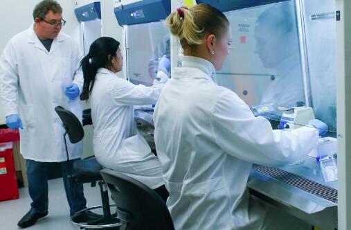 冠状病毒的教训：让我们一起努力 ,stylechina.com