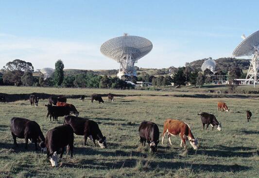 当旅行者2回家时，地球很快将无法回答 ,stylechina.com