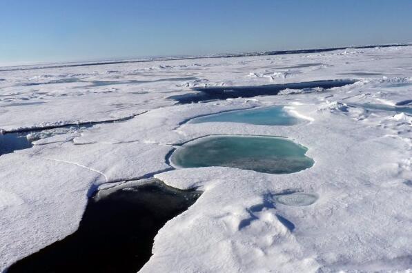 在北冰洋深处发现了新的衣原体物种 ,stylechina.com