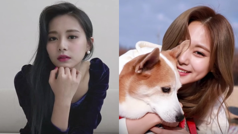 5D73A96B494231567861099.jpeg TWICE周子瑜4月推出首本个人写真书!20岁的清纯魅力,百大最美脸蛋连女生都被电到 ,stylechina.com