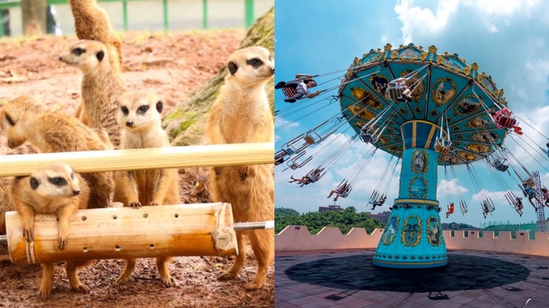 2020儿童节5大游乐园活动总整理！全台最大动物派对、10万株薰衣草花海、12岁以下免费入场...快去纾压一波 ,stylechina.com