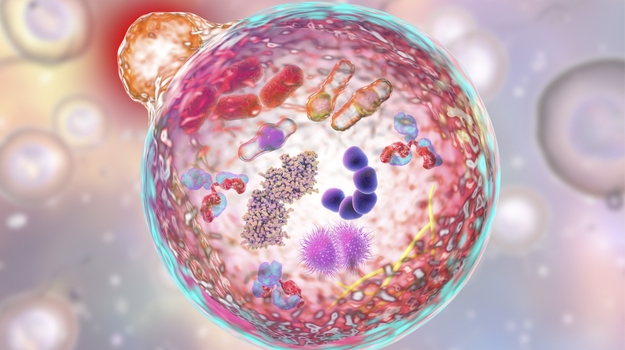 精确疗法以新的自噬途径靶向COVID-19 ,stylechina.com