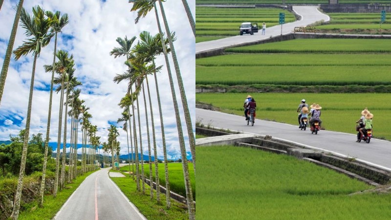 【台东景点】全台首座自行车专用道「关山环镇自行车道」必踩点！12公里饱览稻浪及山林，四季不同农村风情超惬意 ,stylechina.com